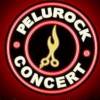 Transmisión Pelurock Concert 2